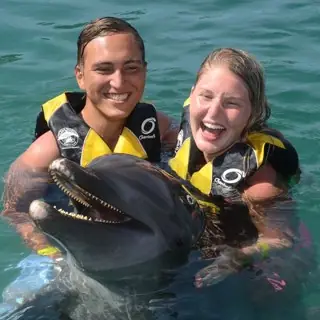 Encuentro con un delfín en Ocean World
