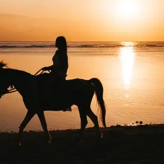 Jinete en la playa al atardecer